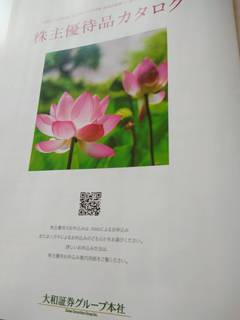 daiwa.jpg