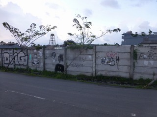 P1000263.jpg